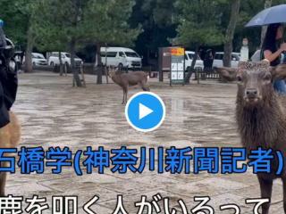 _ސV̐΋wޗǌ܂Ŏނɗ̂ɋLɂȂRB